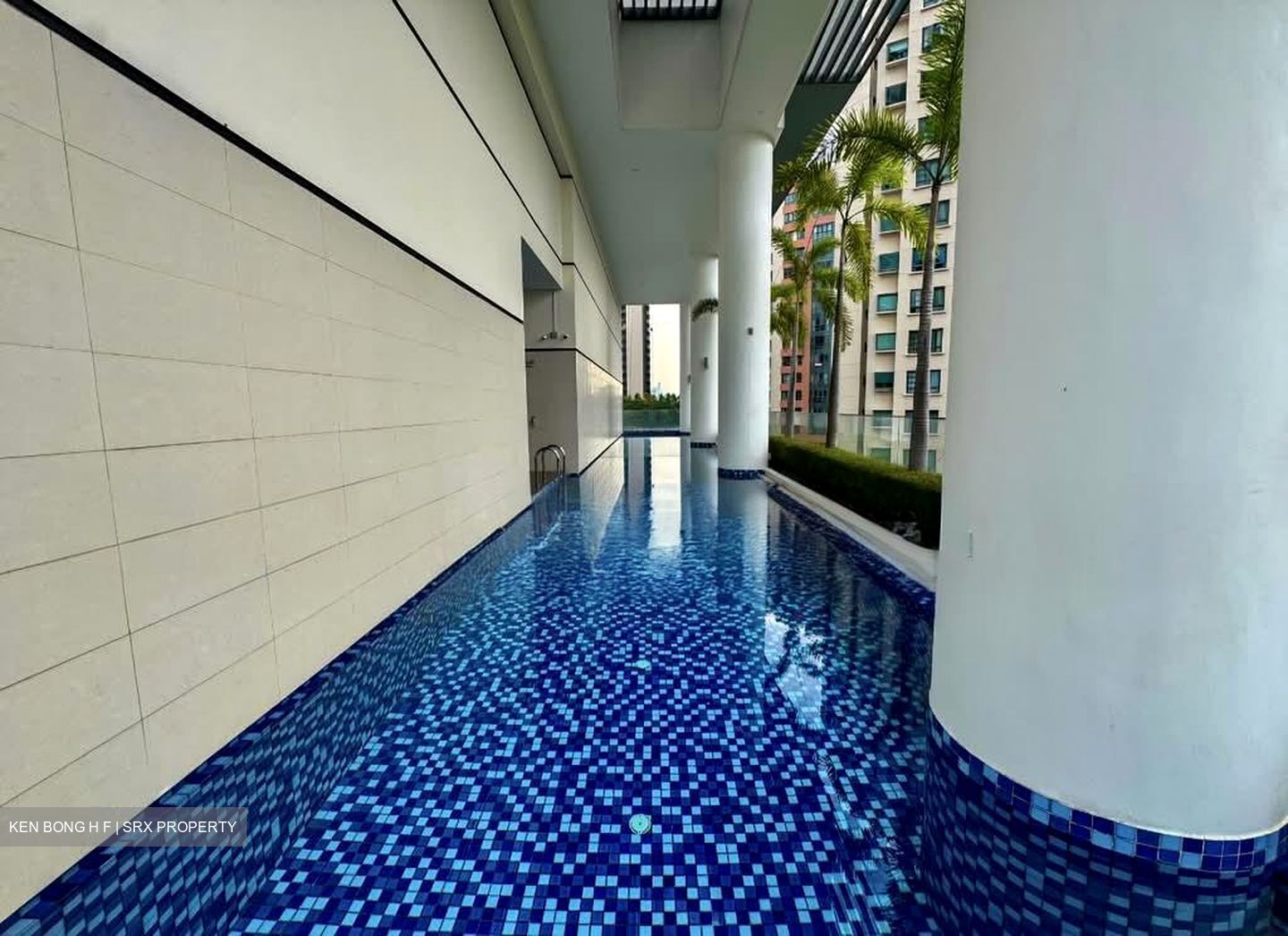 Haig 162 (D15), Apartment #569787421